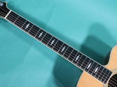 Collings SJ CUTAWAY_9