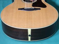 Collings SJ CUTAWAY_11