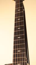 Taylor 【Taylor Guitars 創立50周年記念モデル!】50th Anniversary 314ce LTD【世界1974本限定】【New】_5
