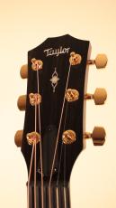Taylor 【Taylor Guitars 創立50周年記念モデル!】50th Anniversary 314ce LTD【世界1974本限定】【New】_10