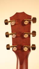 Taylor 【Taylor Guitars 創立50周年記念モデル!】50th Anniversary 314ce LTD【世界1974本限定】【New】_11