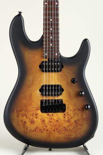 Sterling by MUSIC MAN Richardson6 Natural Poplar Burl Burst