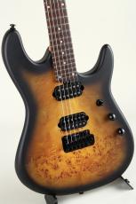 Sterling by MUSIC MAN Richardson6 Natural Poplar Burl Burst_3