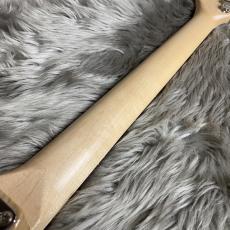 FREEDOM CUSTOM GUITAR RESEARCH C.S. Retro Series TE-TL HollowⅠ - Natural【現物画像 】【最大36回分割無金利 実施中】_10