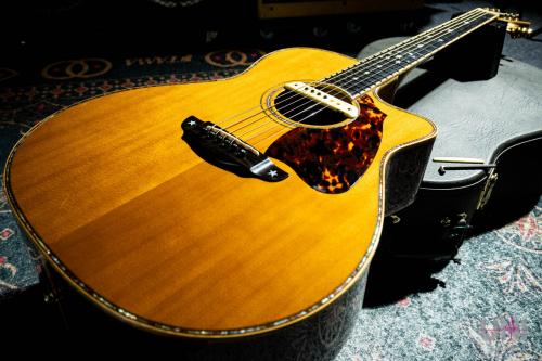 Terry's Casual TC-M7