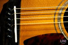 Terry's Casual TC-M7_5