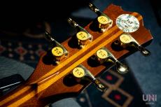 Terry's Casual TC-M7_7