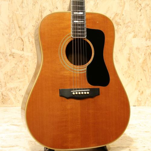 Guild D-55 NT 1978