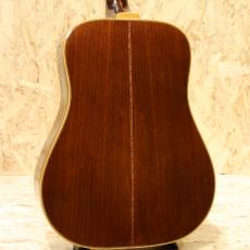 Guild D-55 NT 1978_2