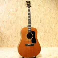 Guild D-55 NT 1978_3