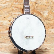 Epiphone Mastertone Bowtie Open Back Banjo