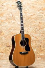 Guild D-55 NT 1984_3