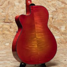 Quint Archtop Octave Mandolin Maple Short Scale Cuyaway CS_2