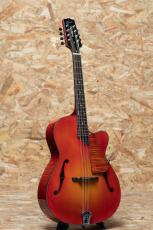 Quint Archtop Octave Mandolin Maple Short Scale Cuyaway CS_3