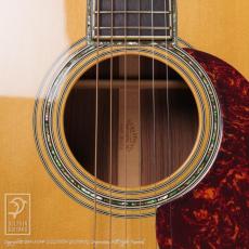 Martin CTM 000-42 SQ (Jacaranda)_13