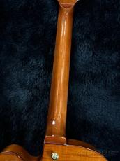 Ibanez ARTSTAR AFC151 -DA (Dark Amber) 【2.49kg】_7