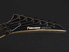 FERNANDES JS-100_3