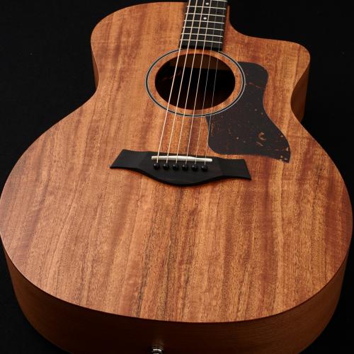 Taylor 24ce 【現物動画あり】【48回無金利】【マホガニートップ】【細目ネック】【C-Classブレーシング】