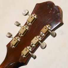 Epiphone 1966 E230TD Casino Sunburst_9