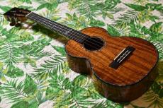 Kamaka HF-3D4I JAKE BLUE EDITION Tenor_3