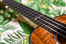 Kamaka HF-3D4I JAKE BLUE EDITION Tenor_7