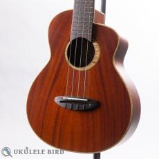 aNueNue aNN-UT110_2