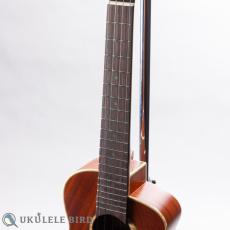 aNueNue aNN-UT110_5