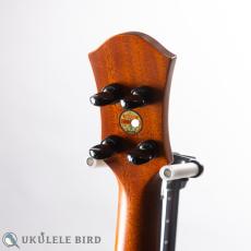 aNueNue aNN-UT110_7
