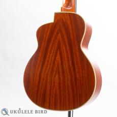 aNueNue aNN-UT110_9