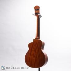 aNueNue aNN-UT110_12