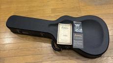 Eastman E20D-TC_9
