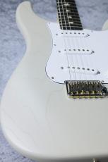 Paul Read Smith "DEAD SPEC" SILVER SKY_4