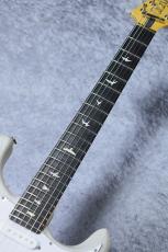 Paul Read Smith "DEAD SPEC" SILVER SKY_5