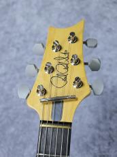 Paul Read Smith "DEAD SPEC" SILVER SKY_6