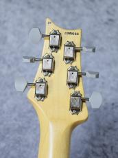 Paul Read Smith "DEAD SPEC" SILVER SKY_7