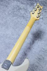 Paul Read Smith "DEAD SPEC" SILVER SKY_8