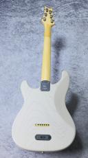 Paul Read Smith "DEAD SPEC" SILVER SKY_9