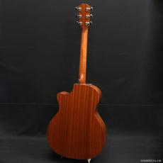 Taylor 314ce Studio Special Edition (SEB)_3