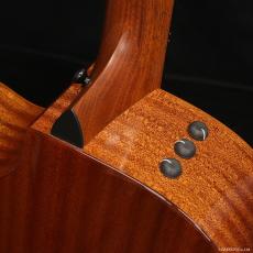 Taylor 314ce Studio Special Edition (SEB)_8