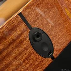 Taylor 314ce Studio Special Edition (SEB)_9