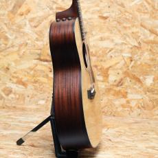 Taylor 314ce J-Spec_4