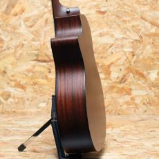 Taylor 314ce J-Spec_5