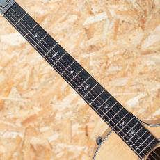 Taylor 314ce J-Spec_6