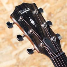 Taylor 314ce J-Spec_8