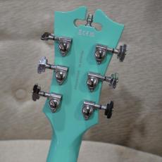 D'Angelico Premier SS / Surf Green 【美品USED】_9