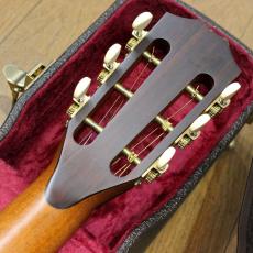 Taylor Fall Limited Edition Cocobolo GC LTD GCE-C テイラー フォールリミテッド ココボロ 2008年製です_6
