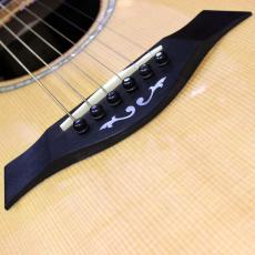 Taylor Fall Limited Edition Cocobolo GC LTD GCE-C テイラー フォールリミテッド ココボロ 2008年製です_15