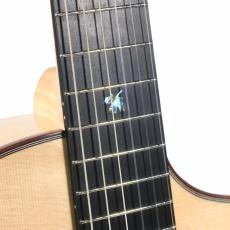 Dowina ACERO-HCE-SWS_11