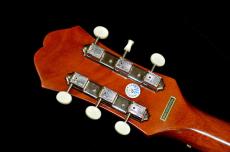 Epiphone Masterbilt TEXAN_6