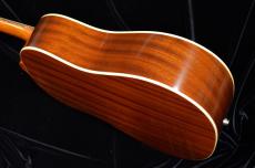 Epiphone Masterbilt TEXAN_8